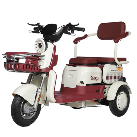 1000W 3-Wheel Electric Mobility Scooter — 3 Seats, Anti-Theft
