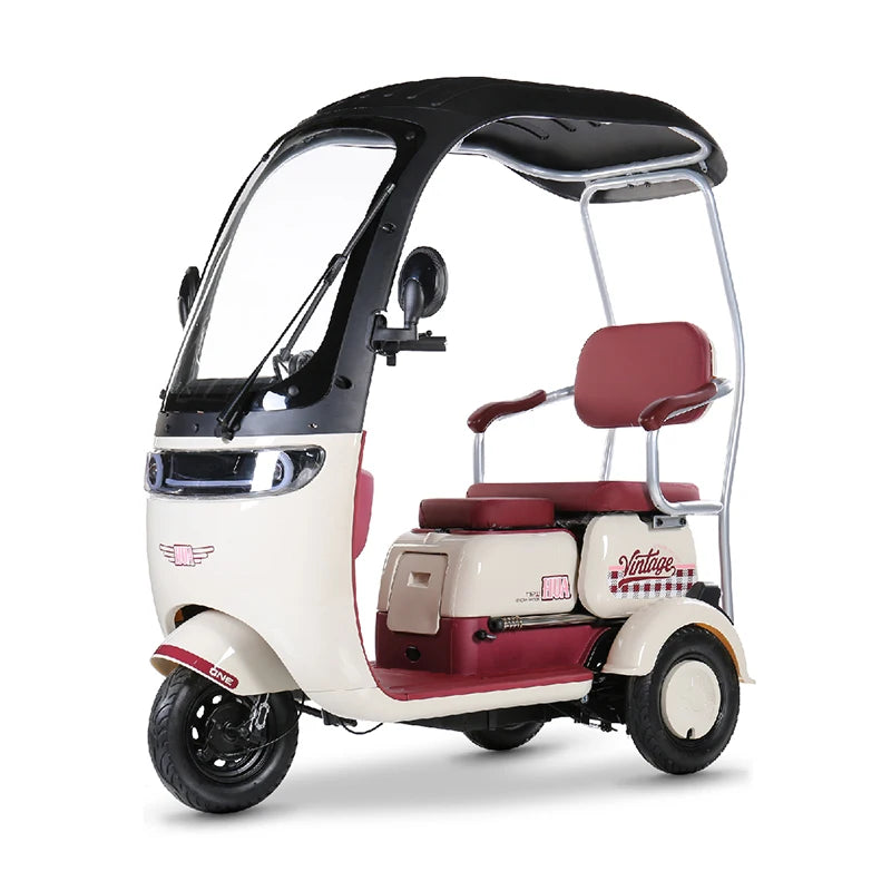 1000W 3-Wheel Electric Mobility Tricycle for Adults