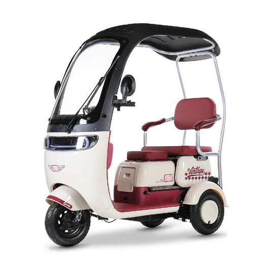 1000W 3-Wheel Electric Mobility Tricycle for Adults