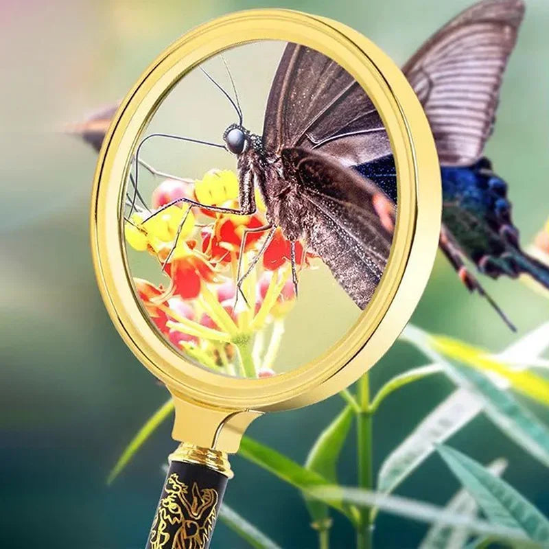 Handheld Magnifying Glass — 6X–8X Zoom for Reading & Detail Work